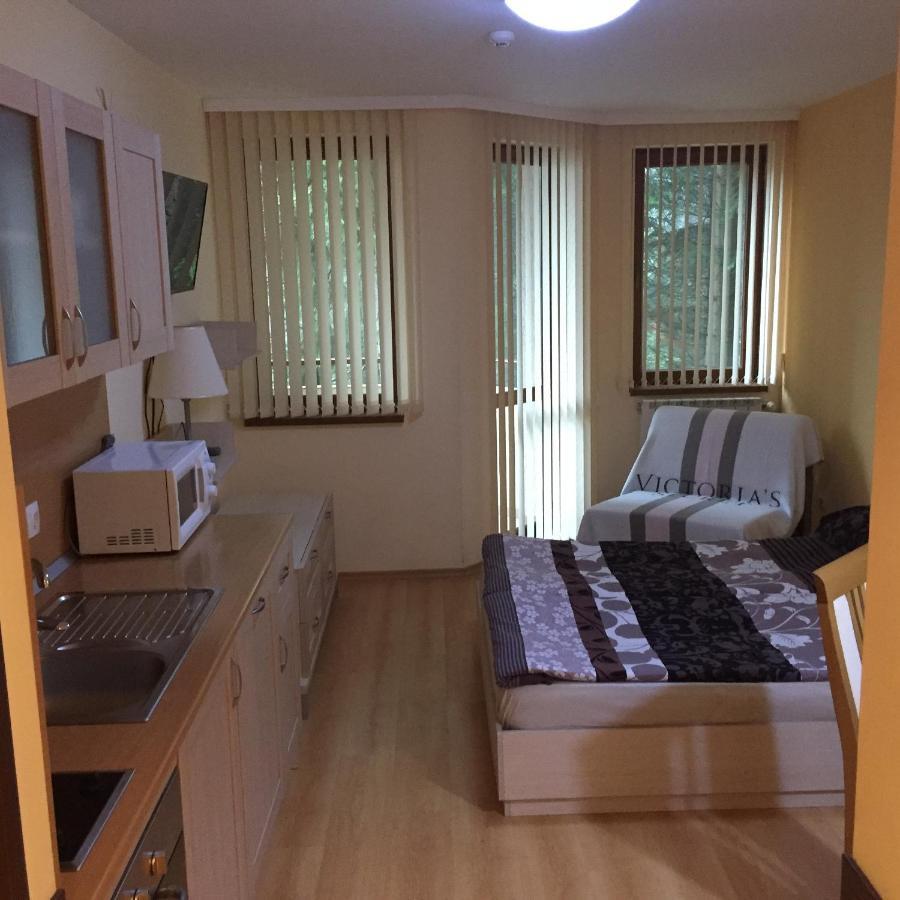 Villa Park Luxury Studio Borovets Buitenkant foto